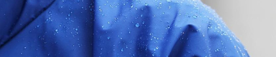 Page banner image